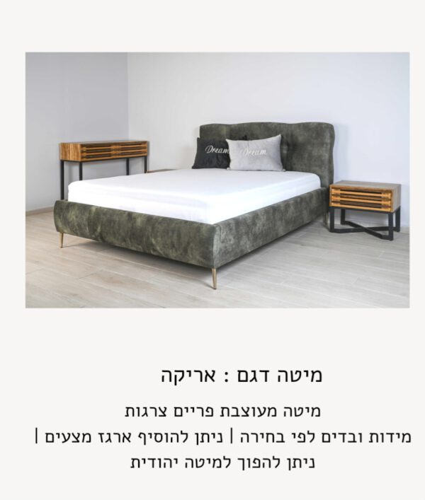 אריקה